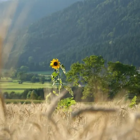Steinkellner Διαμέρισμα Tröpolach