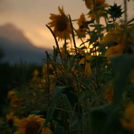 Apartmán Steinkellner Tröpolach
