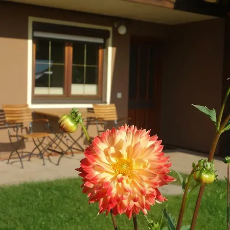 Apartmán Steinkellner