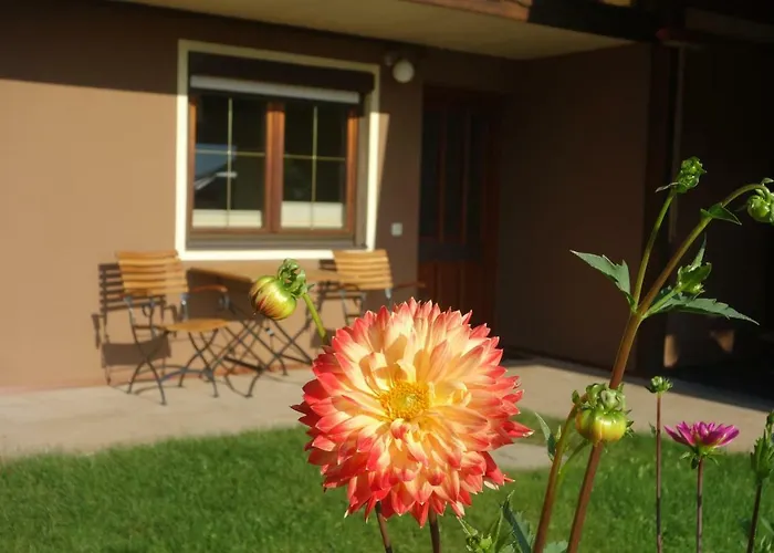 Apartmán Steinkellner